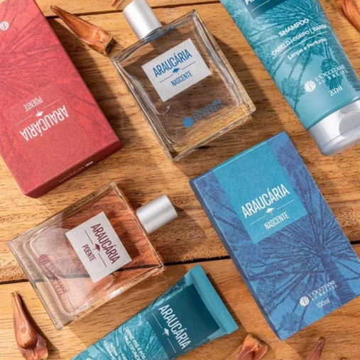 Deo Colônia Araucária Nascente 100ml | L'Occitane au Brésil