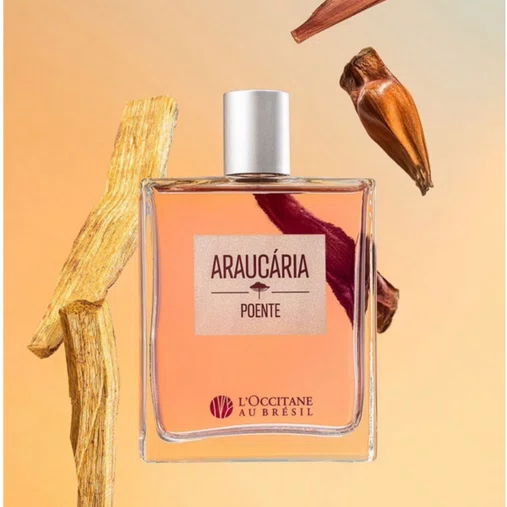 Deo Colônia Araucária Poente 100ml | L'Occitane au Brésil