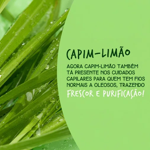 Shampoo Capim-Limão 300ml | L'Occitane au Brésil