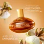 Deo Colônia Amburana ao Sol 100ml | L'Occitane au Brésil