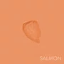 Fluid Concealer Salmon | Catharine Hill