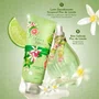 Leite Desodorante Corporal Flor de Limão 200ml | L'Occitane