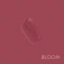 Lip Gloss Bloom | Catharine Hill
