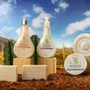 Sabonete Cremoso Mandacaru 75g | L'Occitane au Brésil