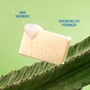 Sabonete Cremoso Mandacaru 75g | L'Occitane au Brésil