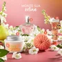 Sabonete Flor Ninfa das Águas 100g | L'Occitane au Brésil