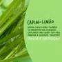 Shampoo Capim-Limão 300ml | L'Occitane au Brésil